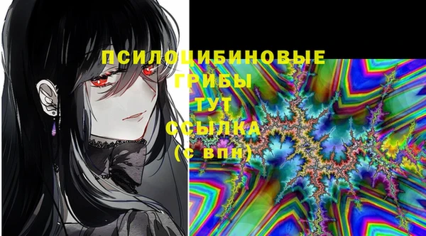 бошки Абинск