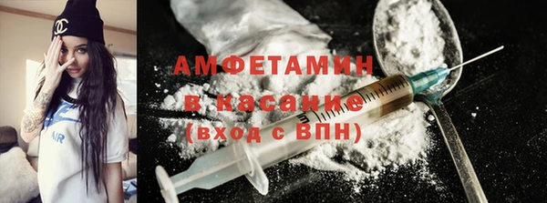 мет Алексин