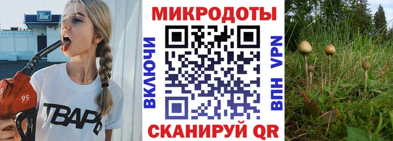 где найти наркотики Каменка Галлюциногенные грибы мицелий